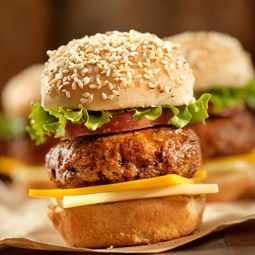 拿度尼汉堡产品 拿度尼汉堡产品图片 拿度尼汉堡怎么样 最新拿度尼汉堡产品展示